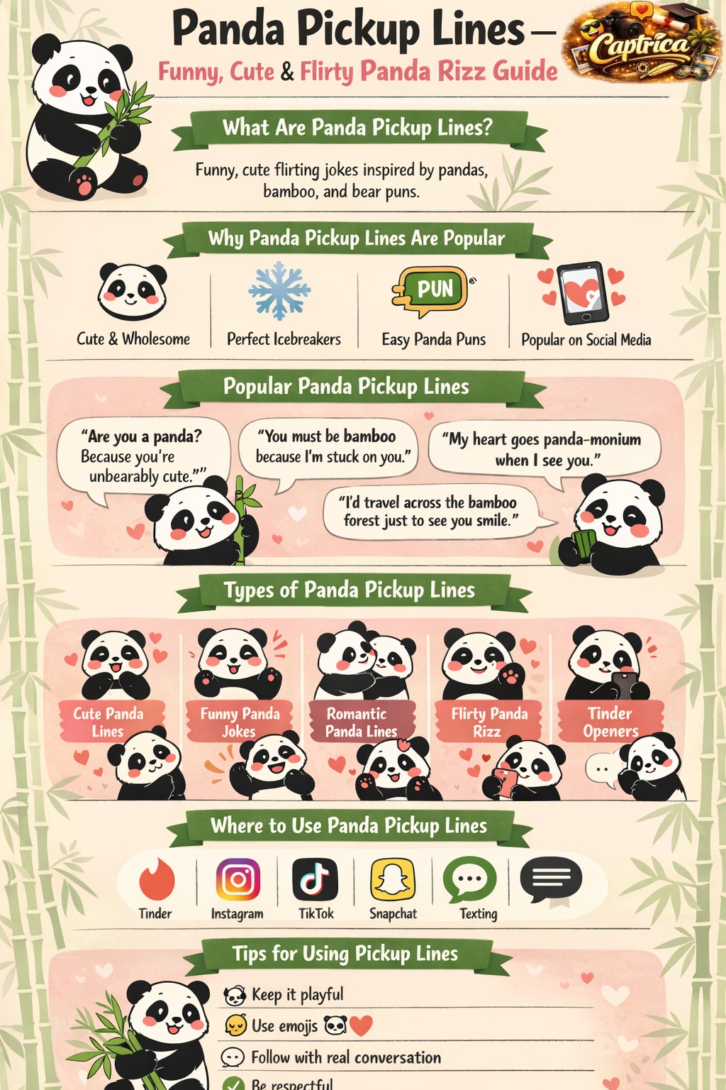 Panda pickup lines infographic showing funny, cute, romantic and flirty panda rizz lines with examples for Tinder, texting and social media flirting.