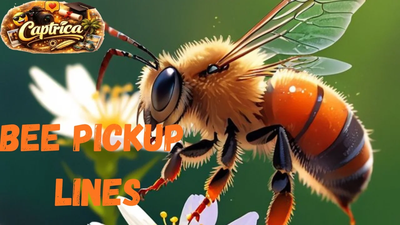 Bee Pickup Lines