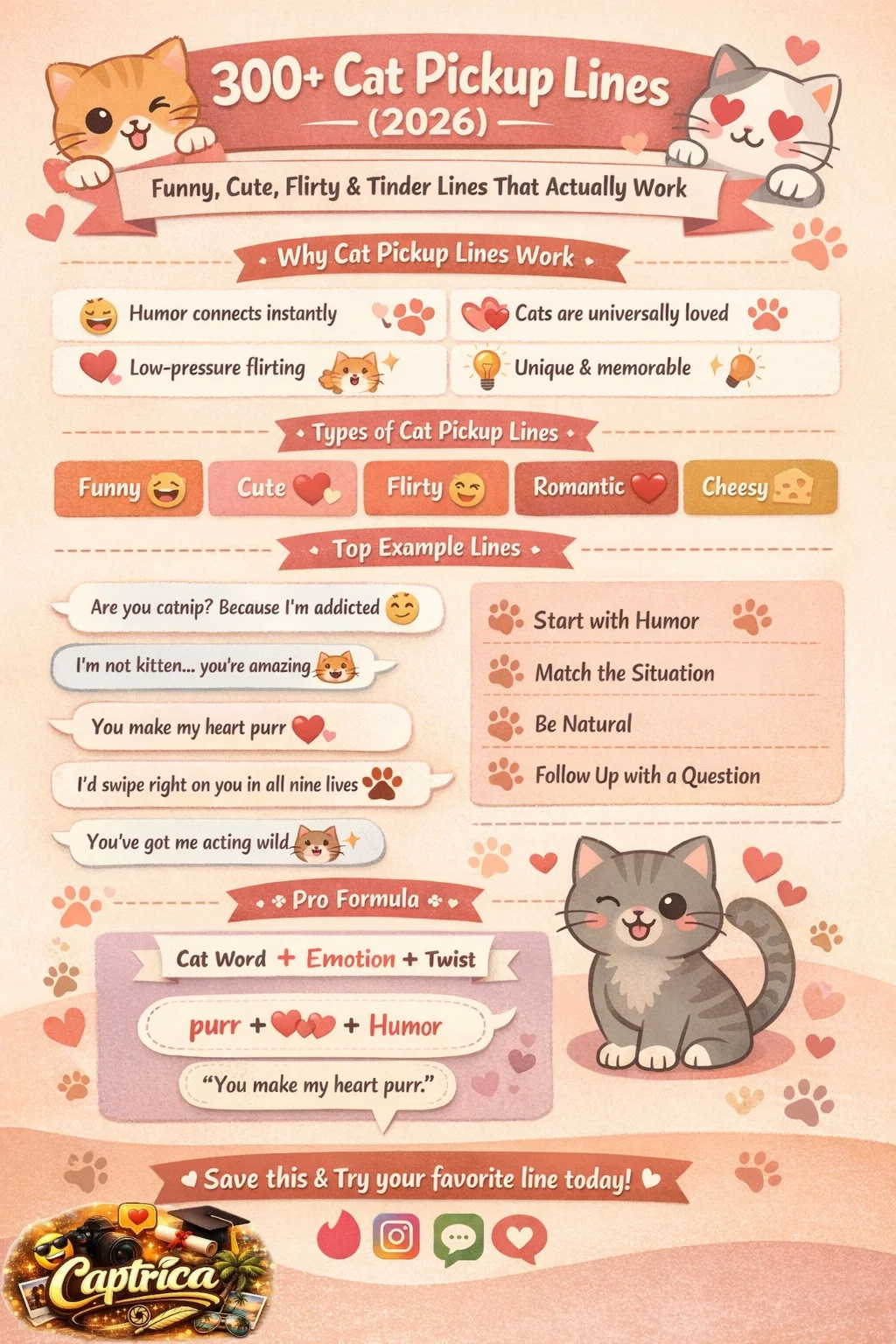 Infographic showing 300+ cat pickup lines, including funny, cute, flirty, and Tinder lines with tips on how to use them effectively in modern dating.