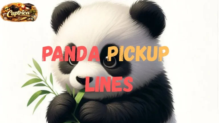 Panda Pickup Lines