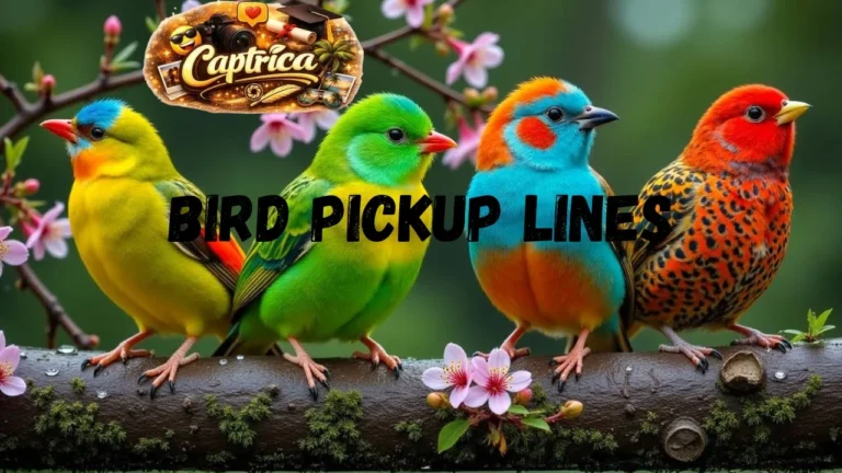 Bird Pickup Lines