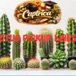 Cactus Pickup Lines