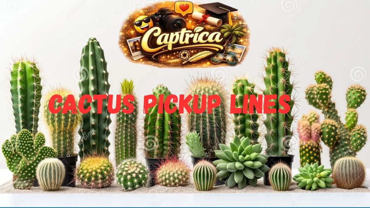 Cactus Pickup Lines