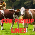 Cow Pickup Lines
