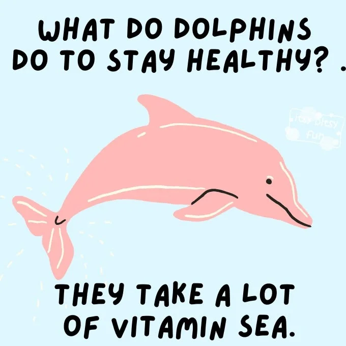 Dolphin Pickup Lines