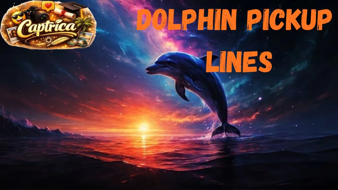 Dolphin Pickup Lines