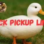 Duck Pickup Lines