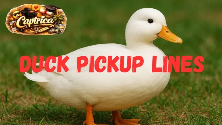 Duck Pickup Lines