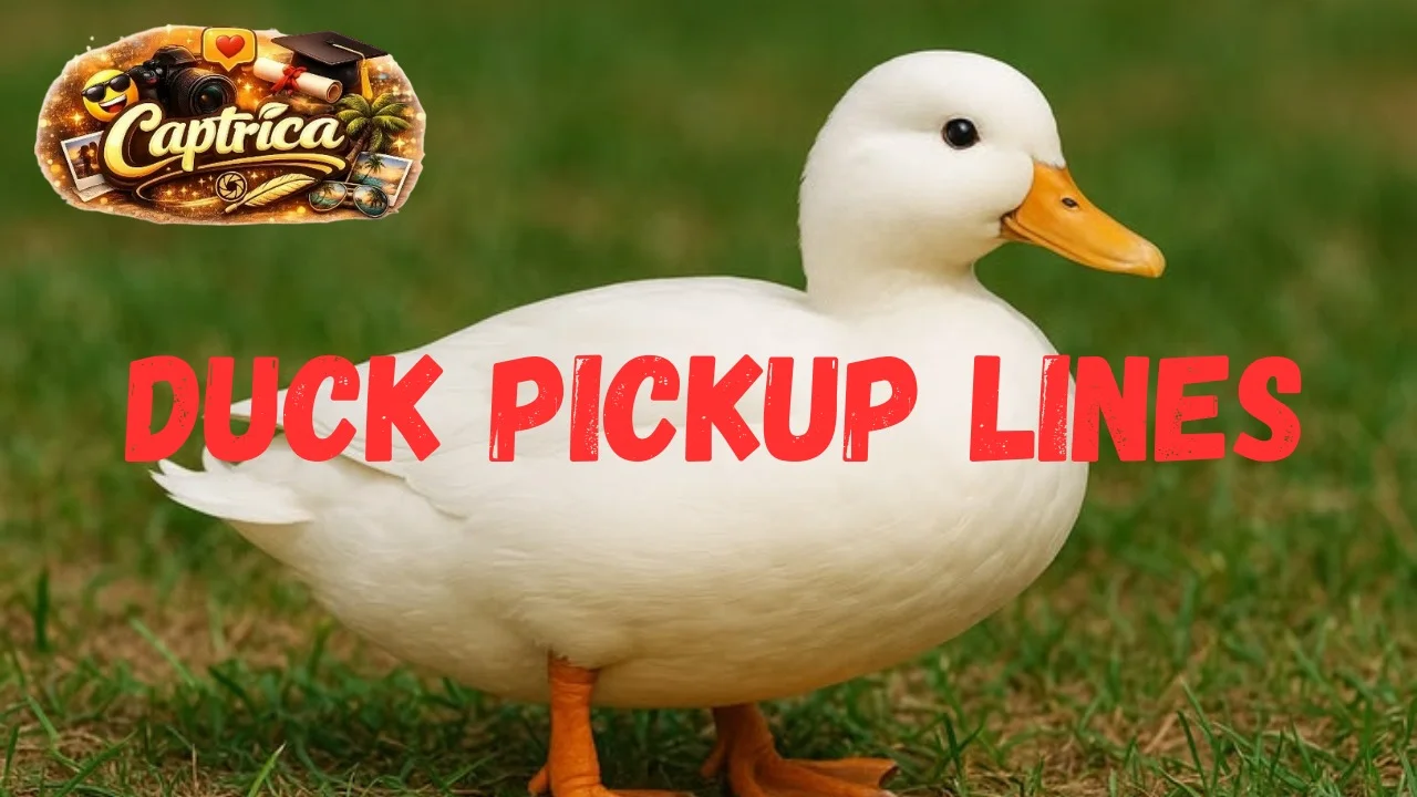 Duck Pickup Lines