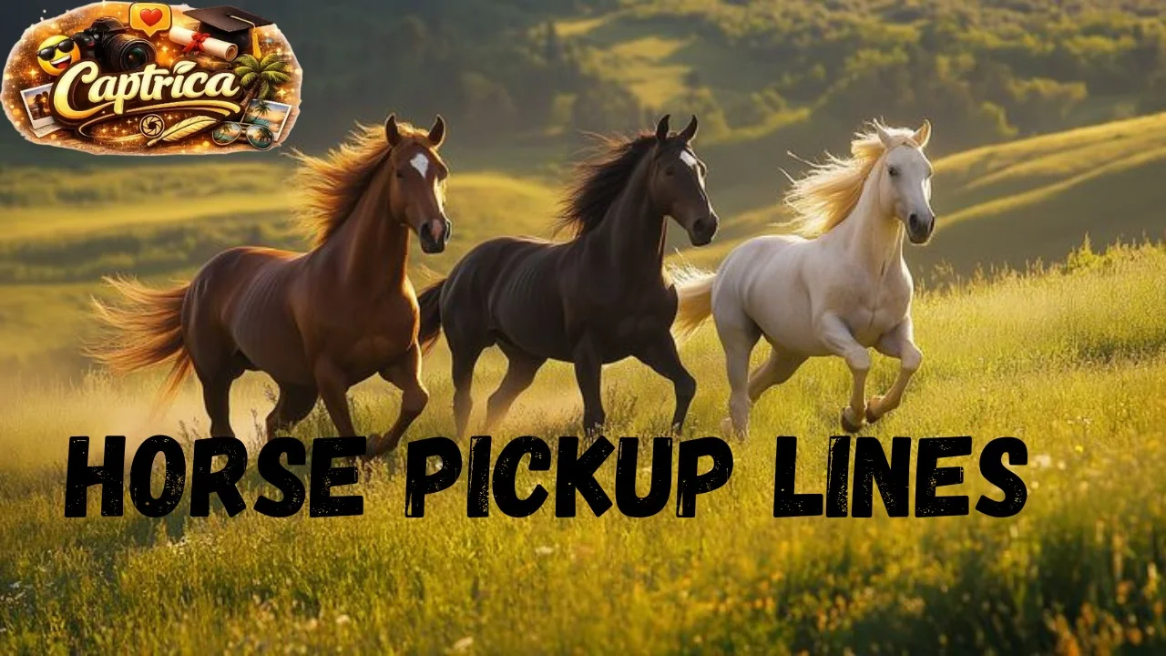Horse Pickup Lines