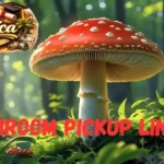 Mushroom Pickup Lines
