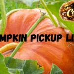 Pumpkin Pickup Lines