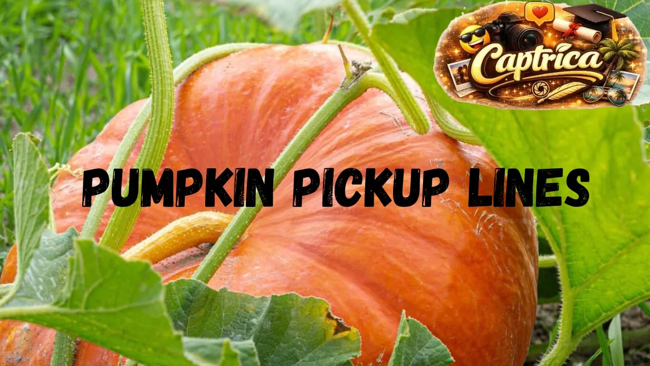 Pumpkin Pickup Lines