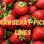 Strawberry Pickup Lines