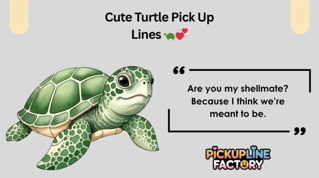 Turtle Pickup Lines