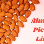 Almond Pickup Lines