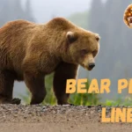 Bear Pickup Lines
