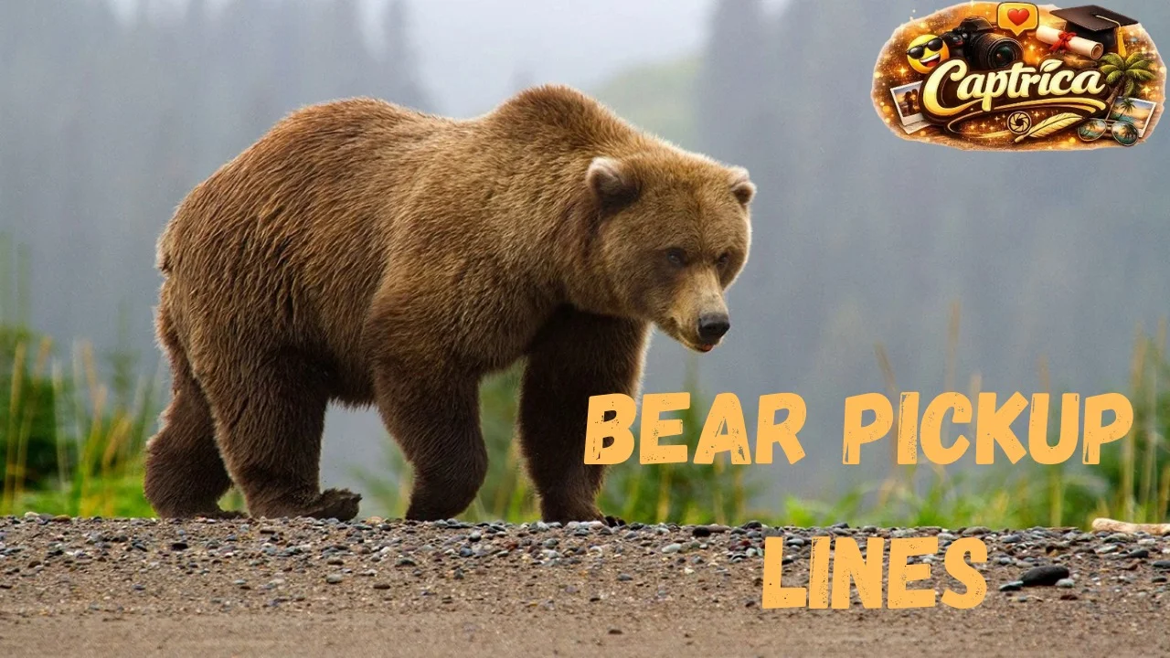 Bear Pickup Lines