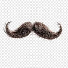 Beard Pickup Lines