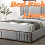 Bed Pickup Lines