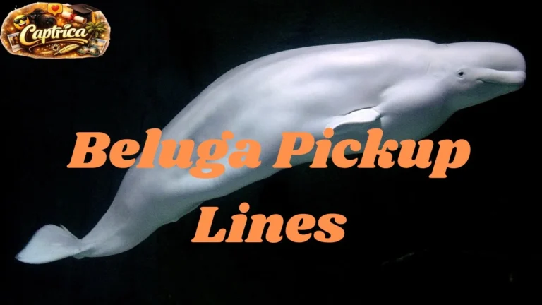 Beluga Pickup Lines