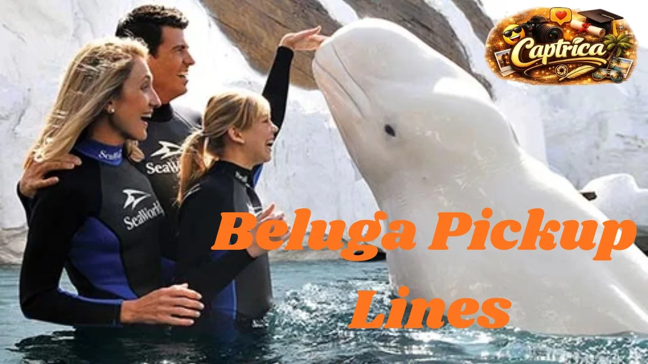 Beluga Pickup Lines