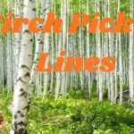 Birch Pickup Lines