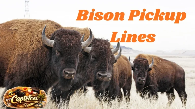 Bison Pickup Lines