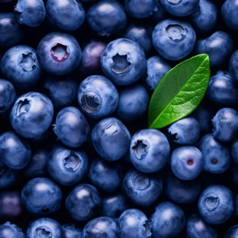 Blueberry Pickup Lines