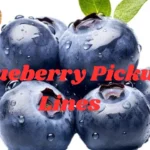 Blueberry Pickup Lines