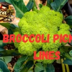 Broccoli Pickup Lines