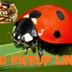 Bug Pickup Lines