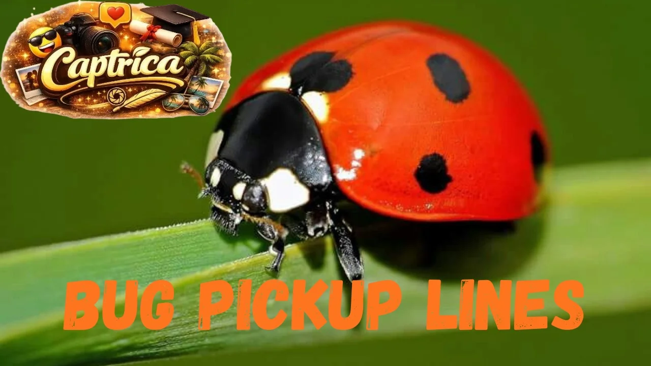 Bug Pickup Lines