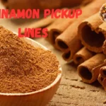 Cinnamon Pickup Lines