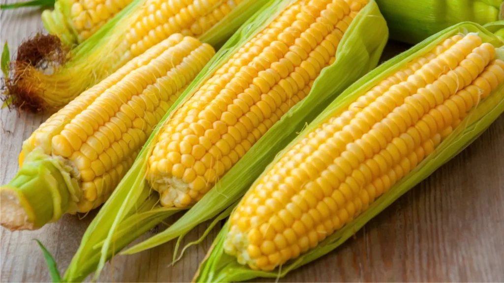 Corn Pickup Lines