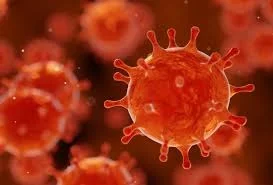 Germ Pickup Lines