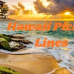 Hawaii Pickup Lines