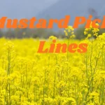 Mustard Pickup Lines