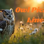 Owl Pickup Lines