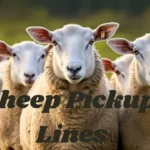 Sheep Pickup Lines