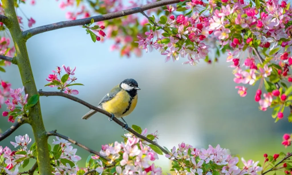 Spring Pickup Lines