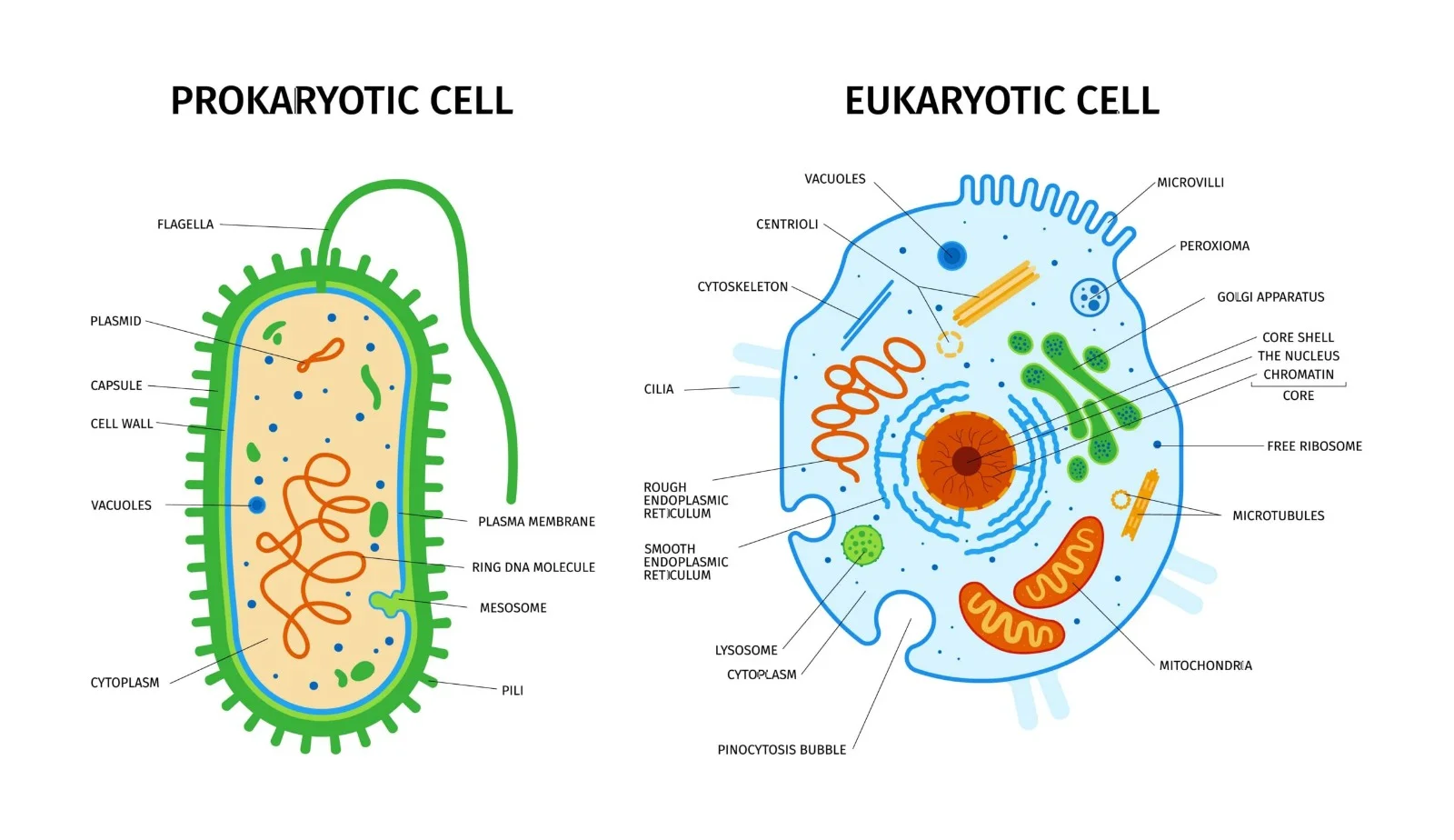 Biology Pickup Lines