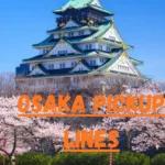 Osaka Pickup Lines