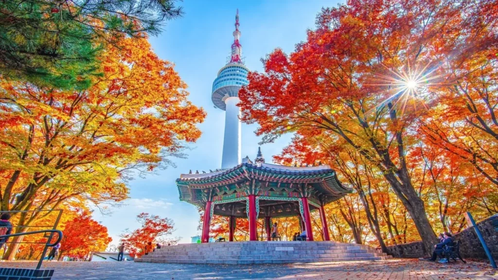 Seoul Pickup Lines